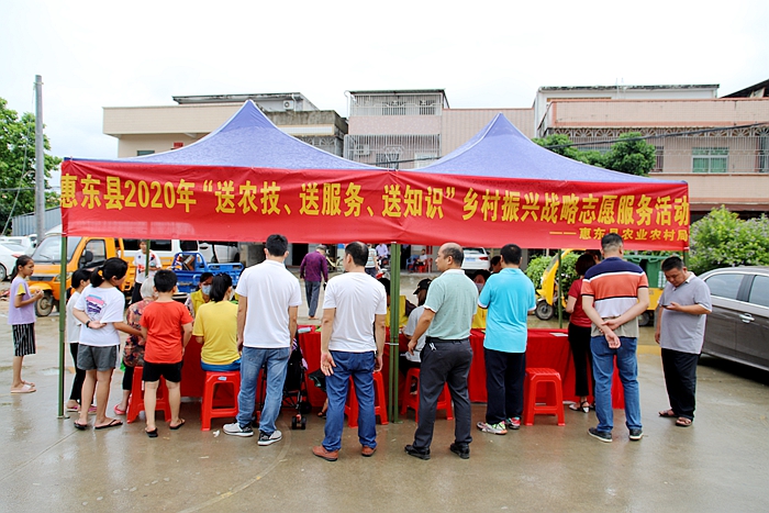 2020年8月5日，惠東縣農(nóng)業(yè)農(nóng)村局開展“送農(nóng)技、送服務、送知識”鄉(xiāng)村振興戰(zhàn)略志愿服務活動4.jpg